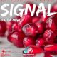 DJ As   Signal Mix 5 80x80 - دانلود پادکست جدید دیجی ال به نام یلدا میکس 1400